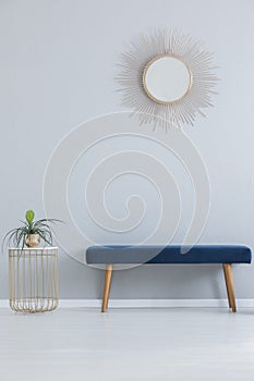 Modern mirror above blue settee and stylish table with plant in golden pot, real photo