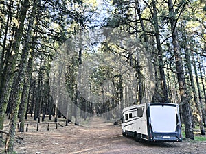 Modern motorhome camper van rv vehicle parking in the outdoors nature park with high scenic trees in background. Concept of travel