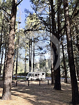 Modern motorhome camper van rv vehicle parking in the outdoors nature park with high scenic trees in background. Concept of travel