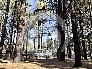 Modern motorhome camper van rv vehicle parking in the outdoors nature park with high scenic trees in background. Concept of travel