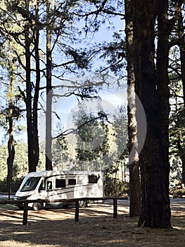 Modern motorhome camper van rv vehicle parking in the outdoors nature park with high scenic trees in background. Concept of travel