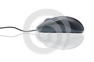 Modern mouse