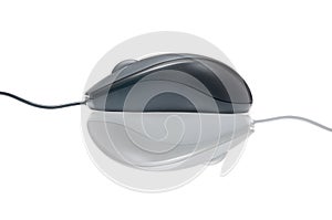 Modern mouse with opposite reflection