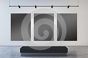 Modern museum or exhibition hall interior with blank black mock up frames on concrete wall and bench.