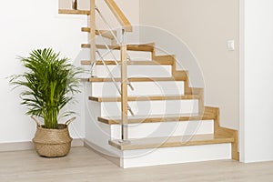 Modern natural ash tree wooden stairs in new house interior