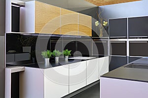 Modern new kitchen