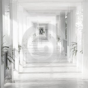 Modern new white perspective corridor interior square architecture abstract background