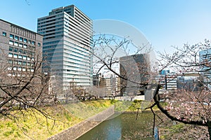 Modern office building in downtown Tokyio and clear sky