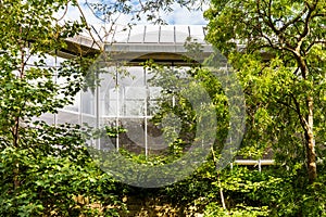 Modern office building exterior, window reflexions and trees