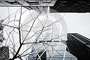 Modern office buildings in Manhattan