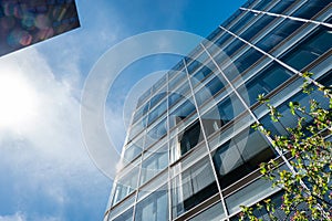 Modern Office Buildings with Steel Glass Windows, Green Plant, Blue Sky, Reflections