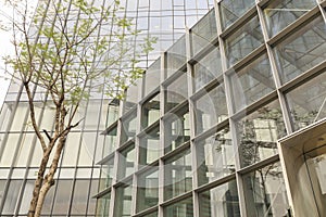 modern office glass building