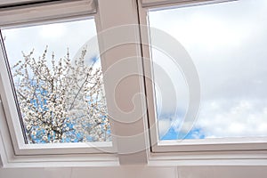 A modern open skylight,mansard window against blue sky with beautiful tree with white flowers, modern new house design