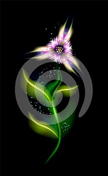 Modern ornamental Pink flower. Beautiful trendy floral element in black background. Colorful glowing illuminated ornaments with