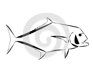 A modern outline of an African Pompano Fish