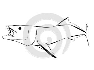 A modern outline design Cobia Fish in action