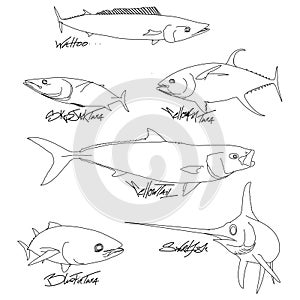 Modern outline of pelagic fish with fish names in street style