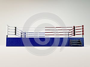 Modern Oversized Boxing Ring