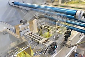 Modern packaging machine for fresh pears in a factory for food industry