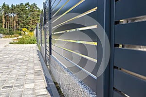 Modern panel fencing in anthracite color, visible spans and a wicket, forest in the background.