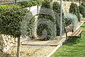 Modern park gardening landscaping design. Small thuja trees, greentrees and bushes, wooden bench near pedestrian pathway