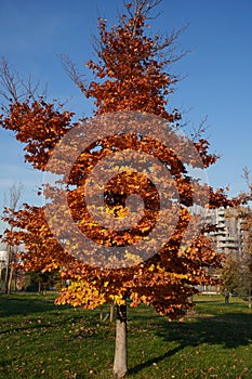 Modern park of Portello in Milan, Italy