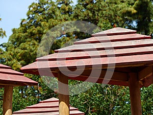 Modern pergola arbor