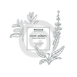 Modern plant label design, vector brand identity sketch elements for package, badge, card.