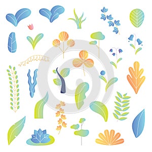 Modern plants vector illustration background elements collection set. Leaves, tree, flowers and other colorful botany herbs.