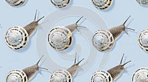 A modern and playful design with rows of tiny snails in a repeating pattern on a light blue background.