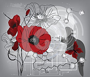 Modern poppies composition