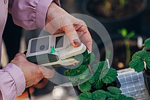 Modern portable device for measuring the chlorophyll and nitrogen content in plant leaves