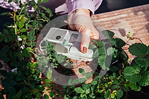 Modern portable device for measuring the chlorophyll and nitrogen content in plant leaves