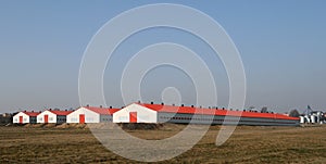 Modern poultry farms