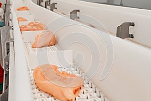 Modern poultry processing plant.Factory for the production of food from meat.Conveyor Belt Food.Automated production