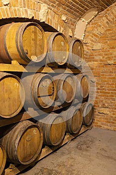 Modern production wine cellar with barrel in Southern Moravia, Czech Republic