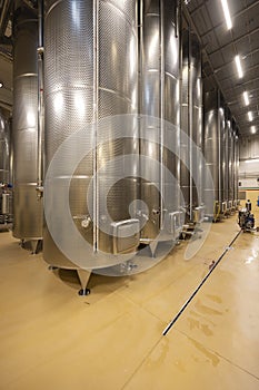 Modern production wine cellar, Nervesa della Battaglia, Province Treviso, region Veneto, Italy