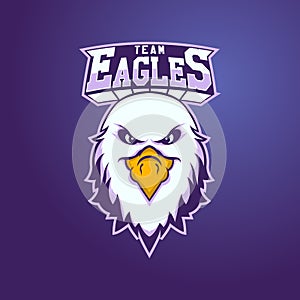 Modern professional logo for sport team. Eagle mascot. Eagles, vector symbol on a light background.