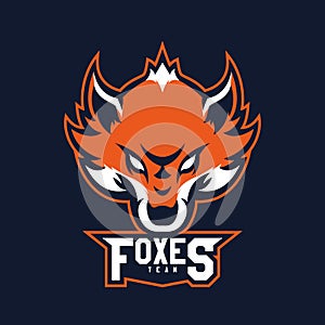 Modern professional logo for sport team. Fox mascot. Fox vector symbol on a redish background.