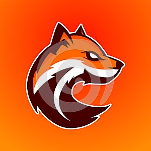 Modern professional logo for sport team. Fox mascot. Foxes, vector symbol on a dark background.