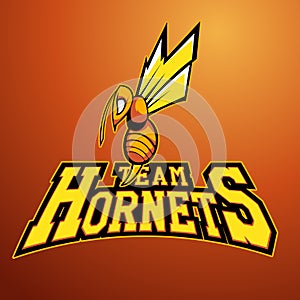 Modern professional logo for sport team. Hornet mascot. Hornets, vector symbol on a light background.