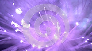 Modern purple color fiberglass lamp in the disco