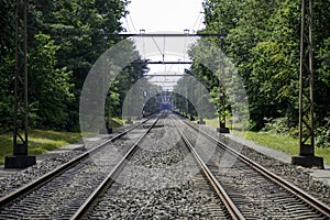 A modern railroad track between the trees