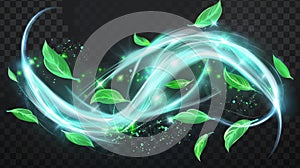 Modern realistic illustration of air vortex and wave with flying mint leaves on transparent background. Abstract wind