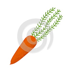 Modern red Carrot vector illustration