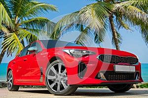 Modern red luxury car with palm trees in the background