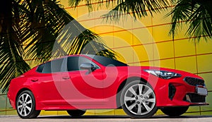 Modern red luxury car under palm branches on a yellow background