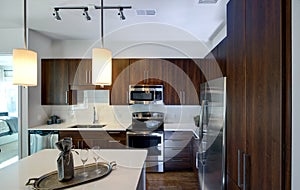 Modern Remodeled Kitchen