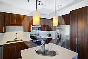 Modern Remodeled Kitchen