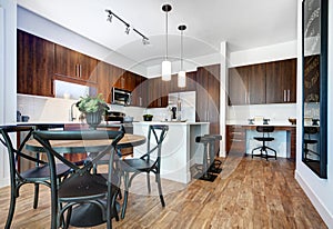 Modern Remodeled Kitchen